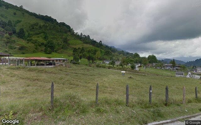 Vista de calle: Lote / Terreno en Pijao